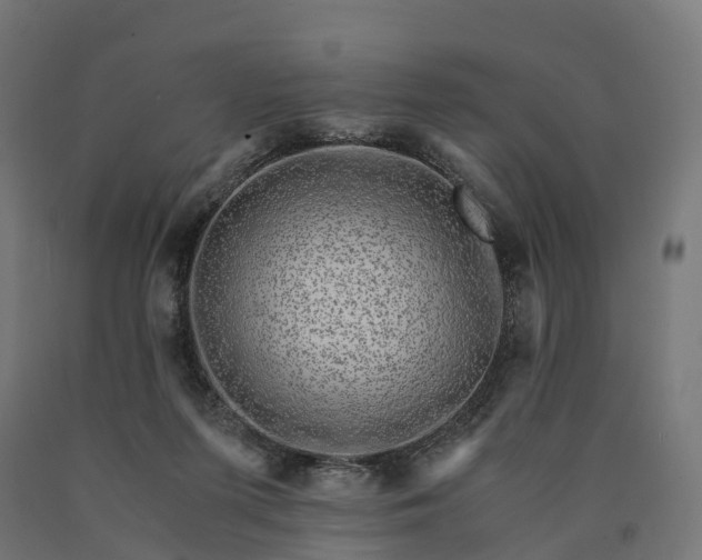 X0000090760215200708031637