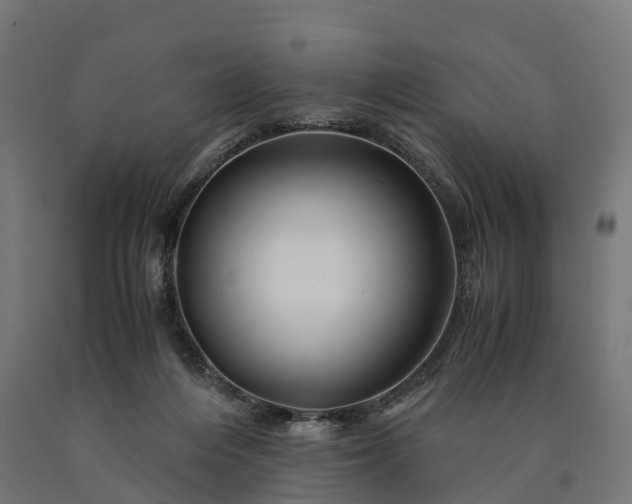 X0000090760216200708031637