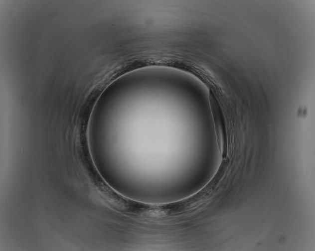 X0000090760217200708031637