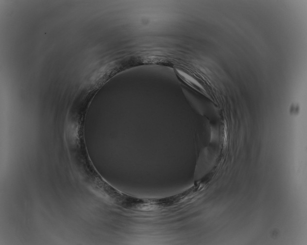 X0000090760219200708031637