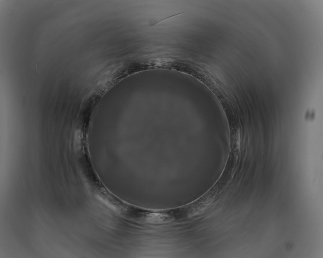 X0000090760222200708031637