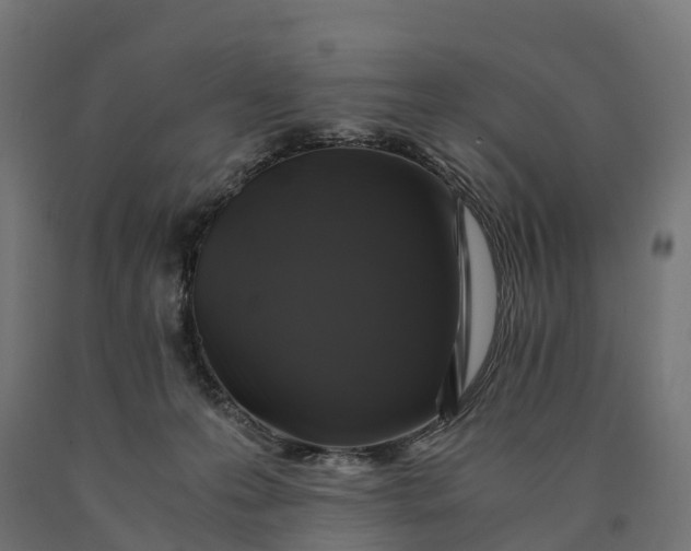 X0000090760223200708031637