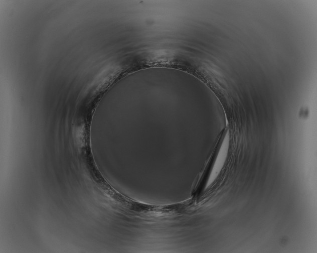 X0000090760224200708031637