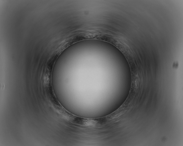 X0000090760226200708031637