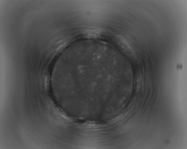 X0000090760228200708031637