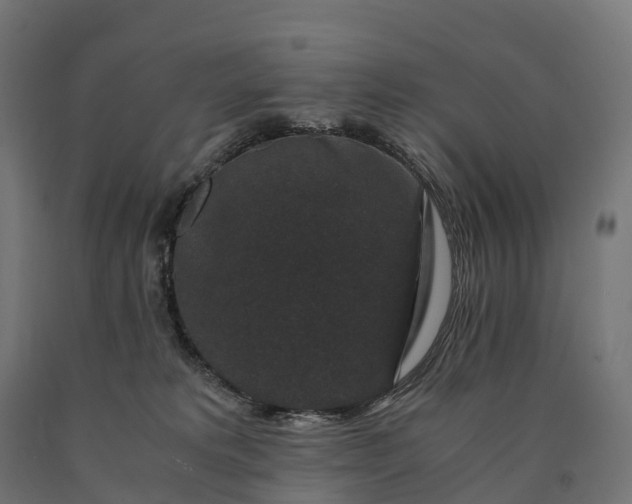 X0000090760229200708031637