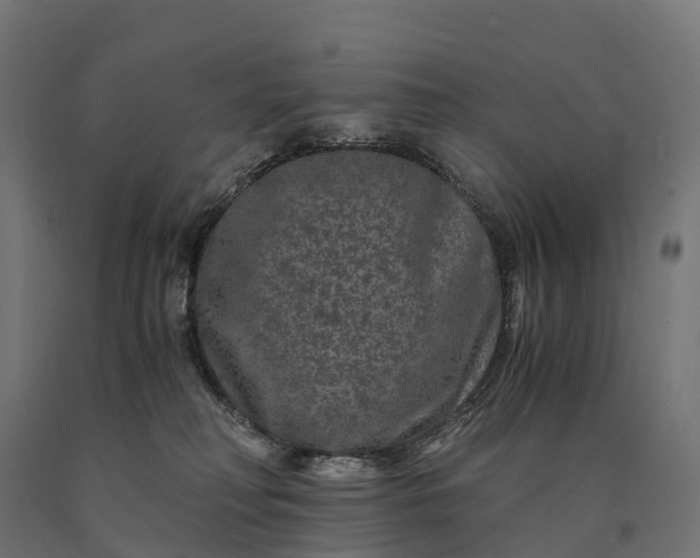 X0000090760230200708031637