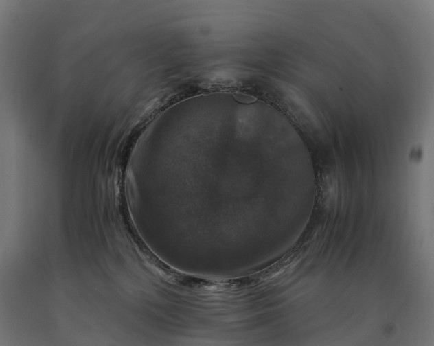 X0000090760232200708031637