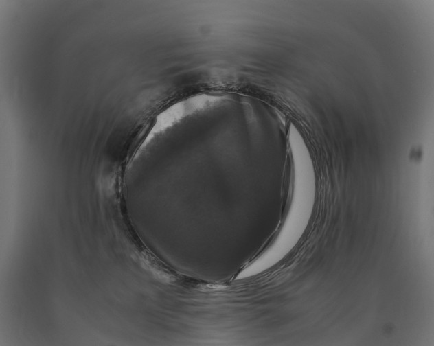 X0000090760233200708031637