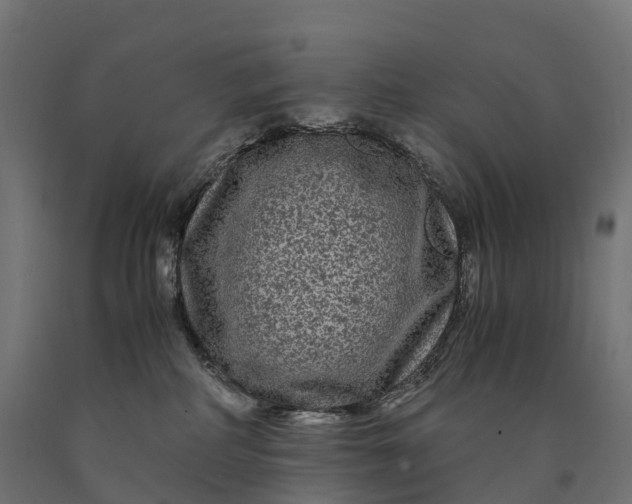 X0000090760234200708031637