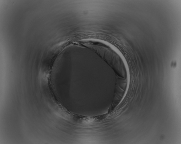 X0000090760235200708031637