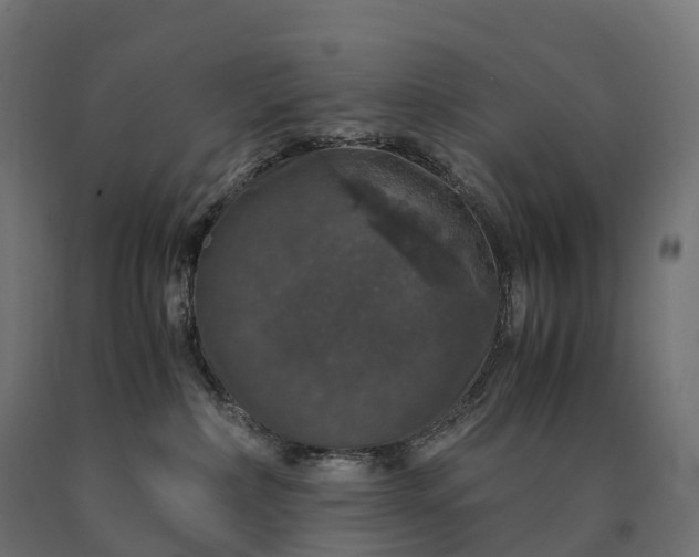 X0000090760236200708031637