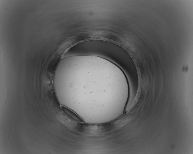 X0000090760237200708031637