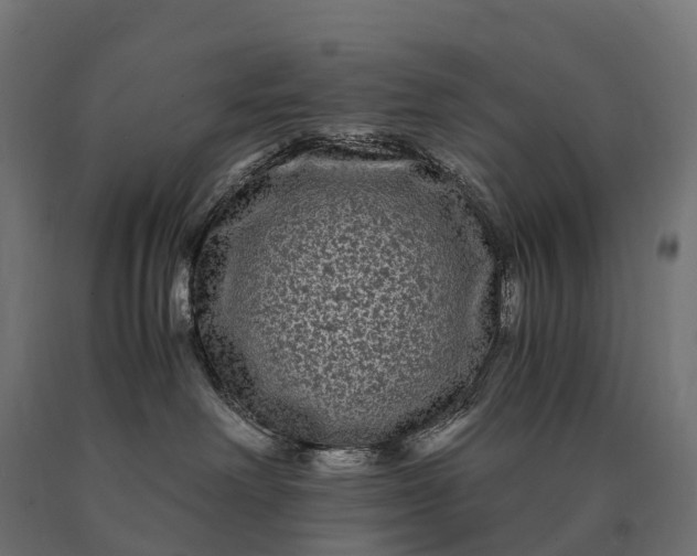 X0000090760238200708031637