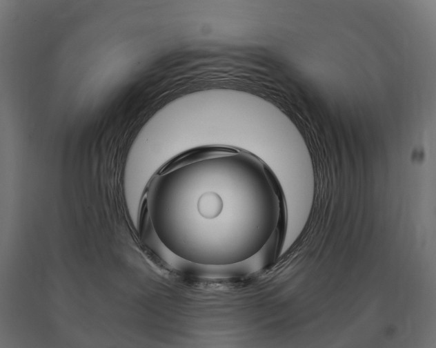 X0000090760239200708031637