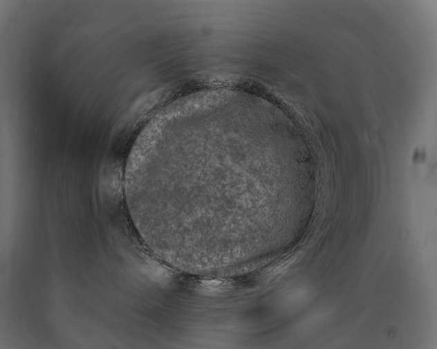 X0000090760240200708031637