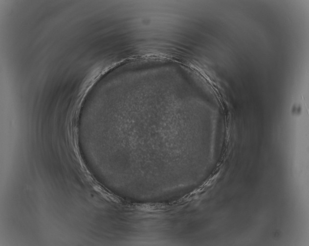 X0000090760241200708031636