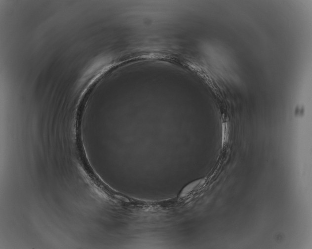 X0000090760243200708031636