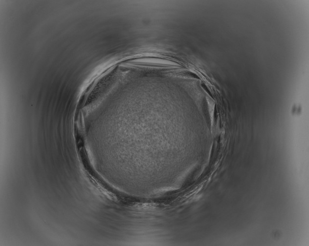 X0000090760244200708031636