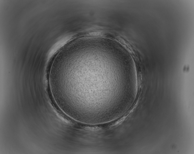 X0000090760245200708031636