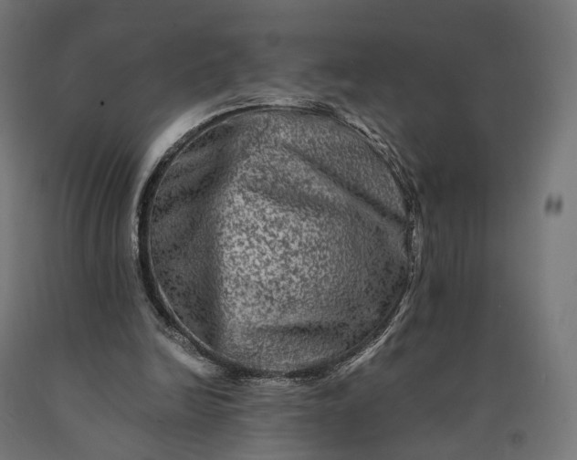 X0000090760246200708031636