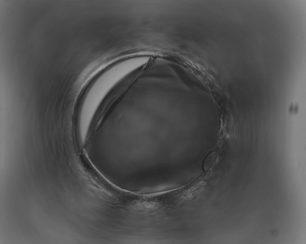 X0000090760247200708031636