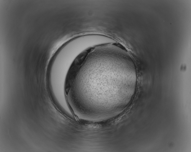 X0000090760248200708031636