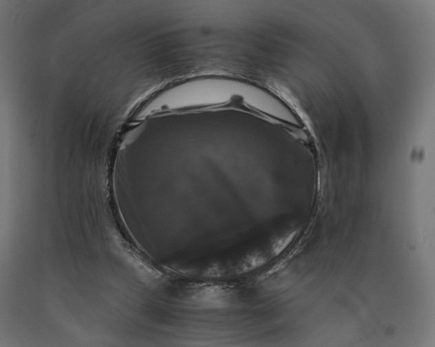 X0000090760249200708031636