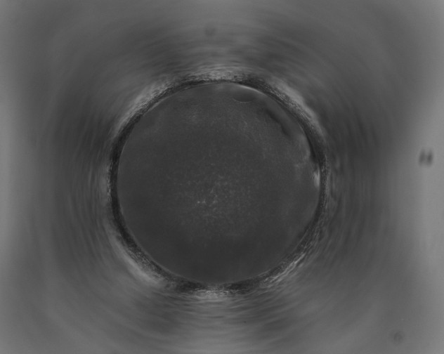 X0000090760250200708031636