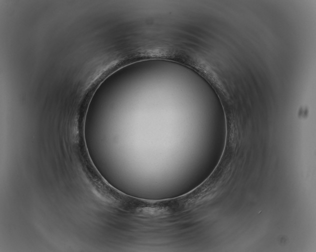 X0000090760251200708031636