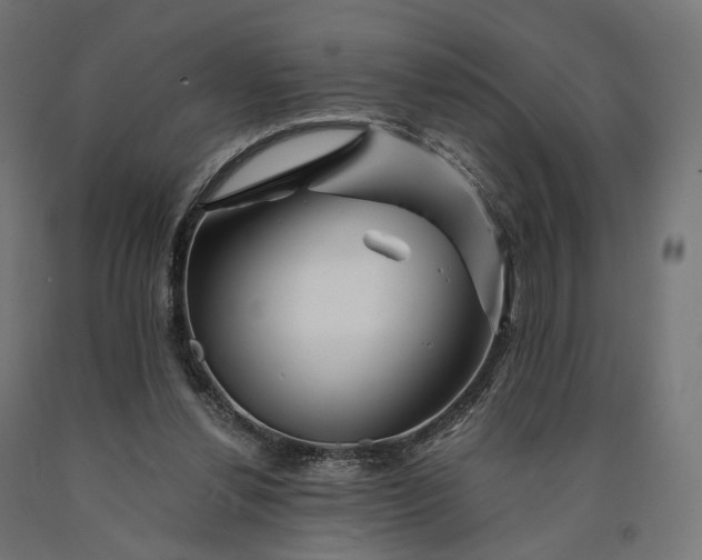 X0000090760252200708031636