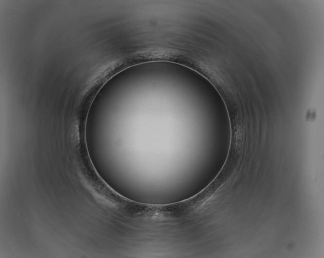 X0000090760254200708031636