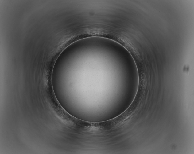 X0000090760255200708031636