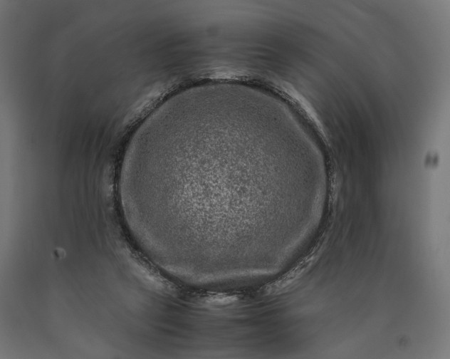 X0000090760257200708031636