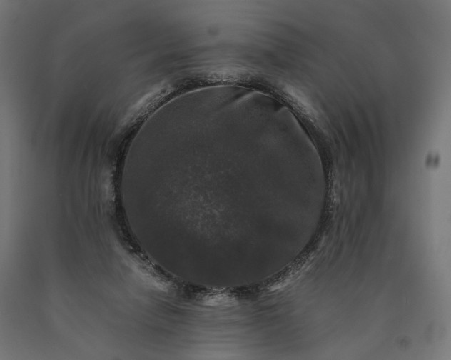 X0000090760258200708031636