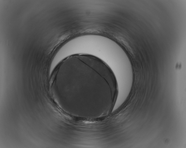 X0000090760260200708031637