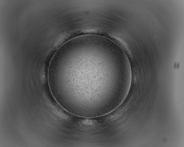 X0000090760261200708031637