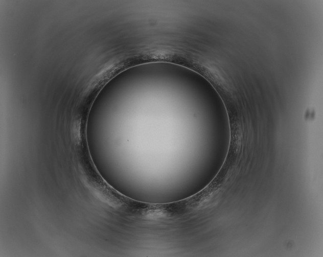 X0000090760262200708031637