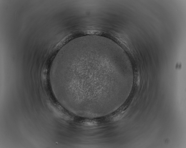 X0000090760263200708031637