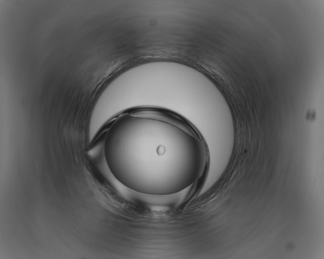 X0000090760264200708031637