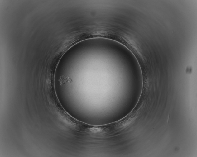 X0000090760265200708031637