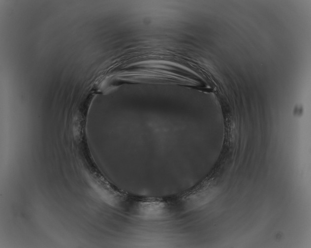 X0000090760266200708031637