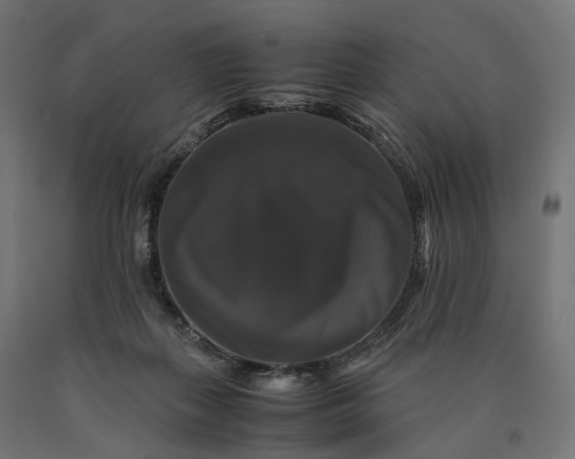 X0000090760267200708031637