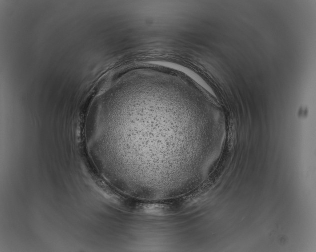 X0000090760268200708031637