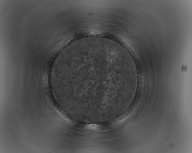 X0000090760269200708031637