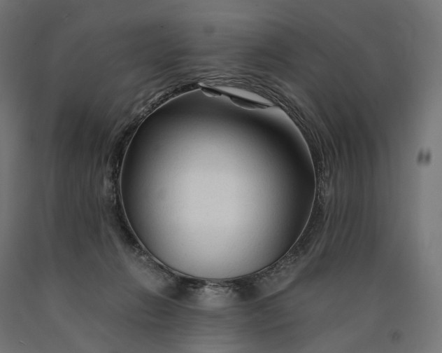 X0000090760270200708031637