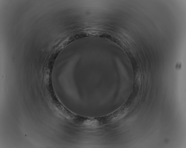 X0000090760271200708031637