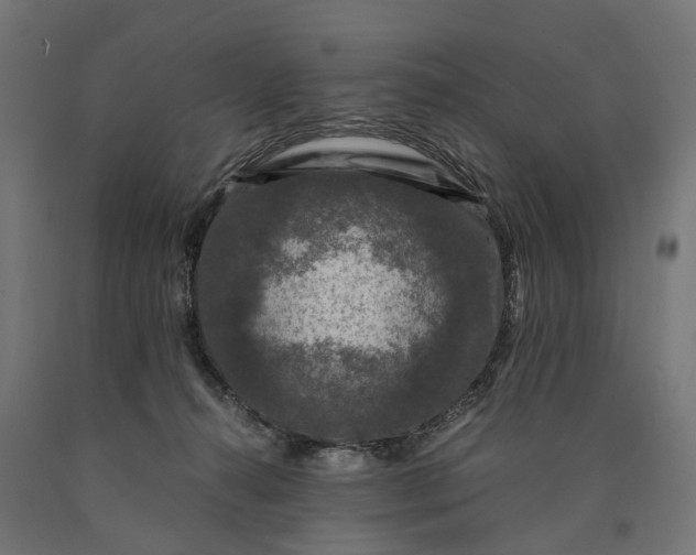 X0000090760272200708031637