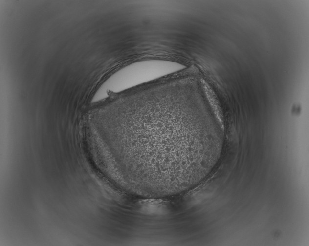 X0000090760273200708031637