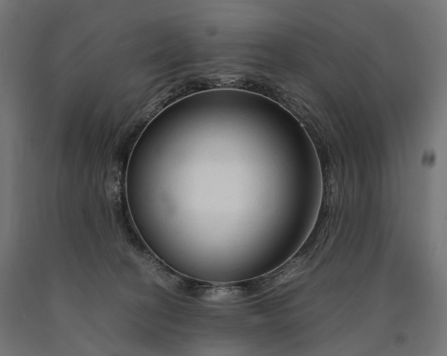 X0000090760274200708031637